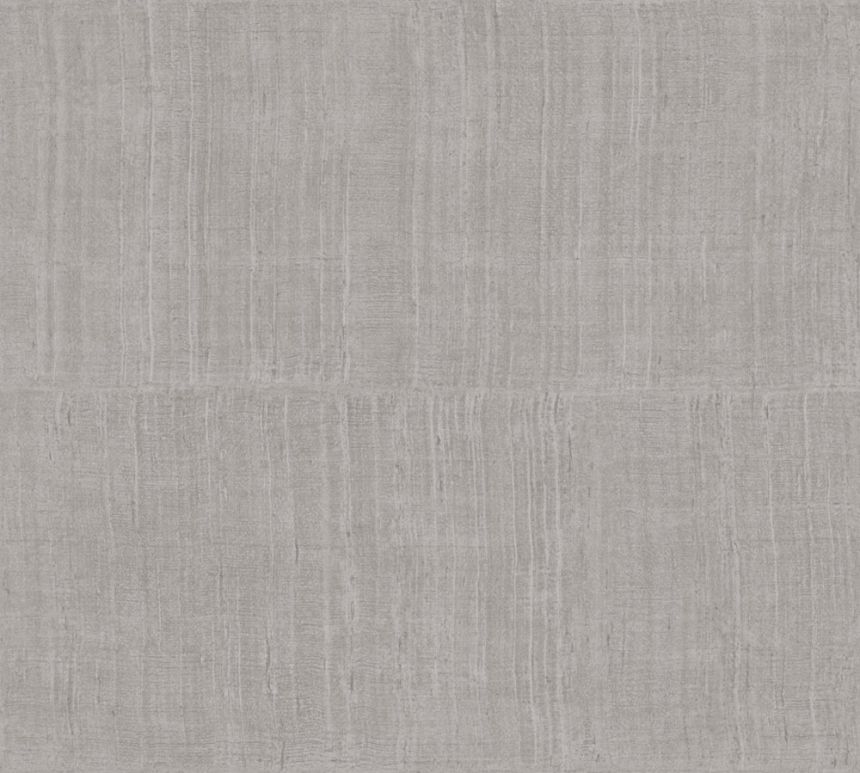 11521, Textura Ignis, Arte