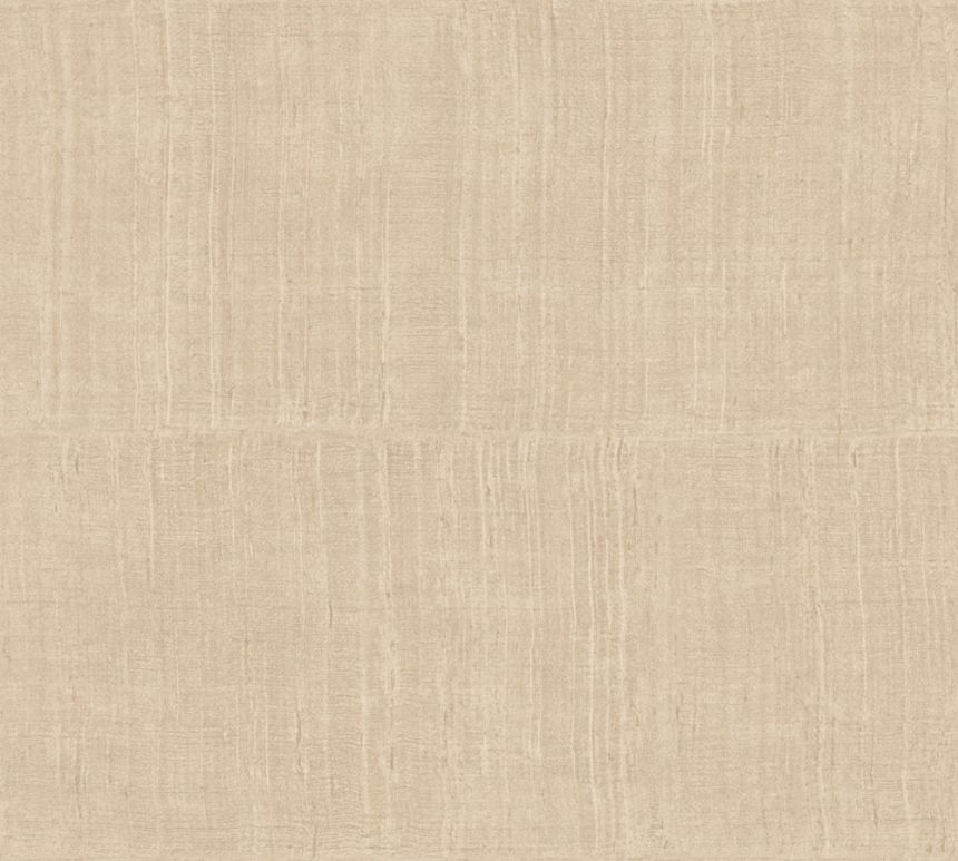 11525, Textura Ignis, Arte