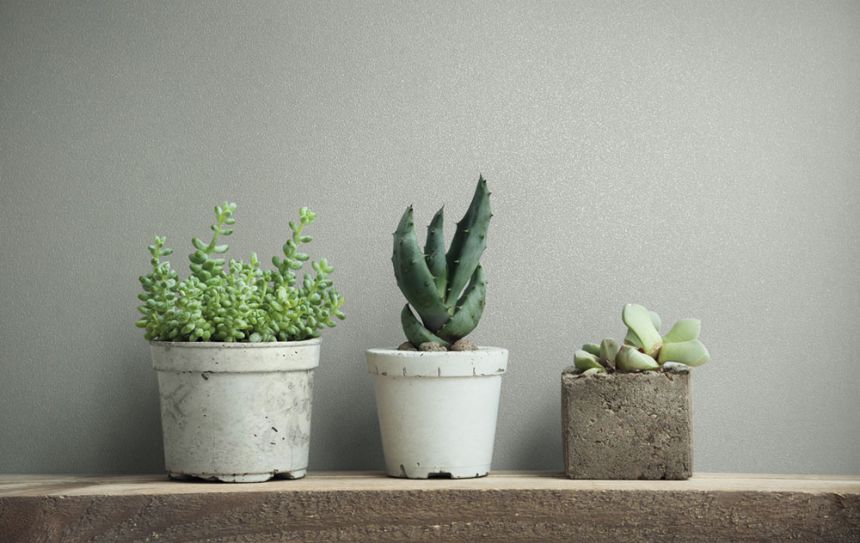 Vliesová tapeta na zeď, šedá, 82515, Naomi, Novamur