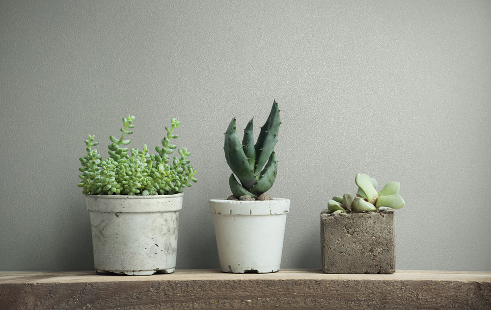 Vliesová tapeta na zeď, šedá, 82515, Naomi, Novamur