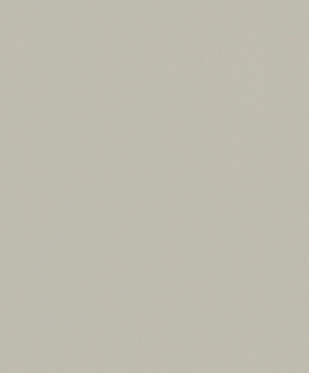 Vliesová tapeta na zeď, šedo-béžová, 82517, Naomi, Novamur