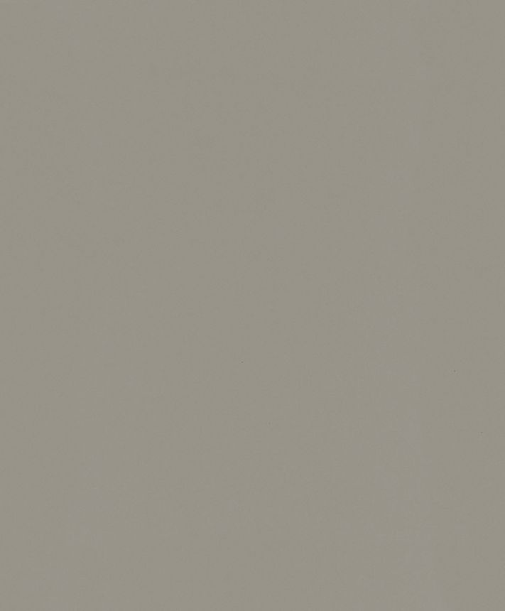 Vliesová tapeta na zeď, šedo-hnědá, 82518, Naomi, Novamur