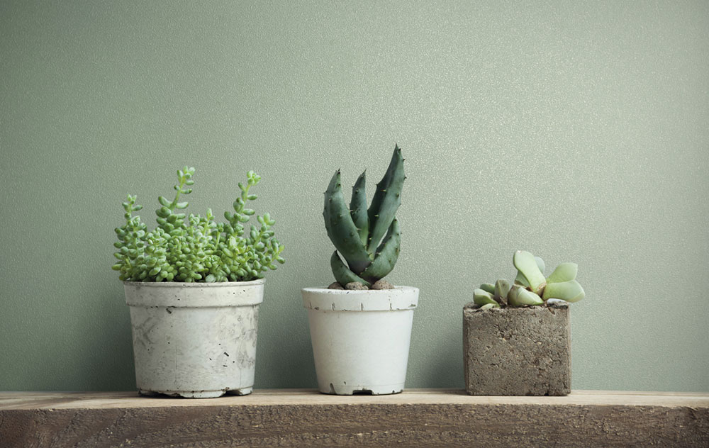 Vliesová tapeta na zeď, zelená, 82522, Naomi, Novamur