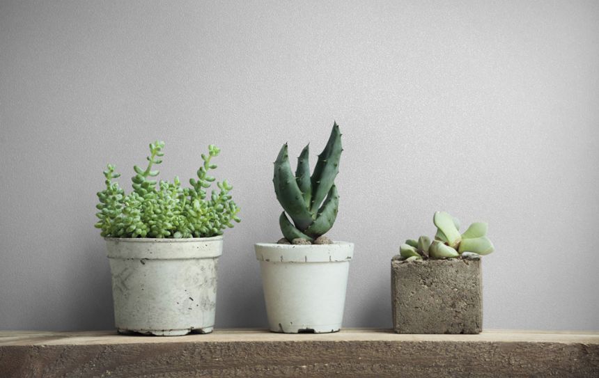 Vliesová tapeta na zeď, bílá, 82529, Naomi, Novamur