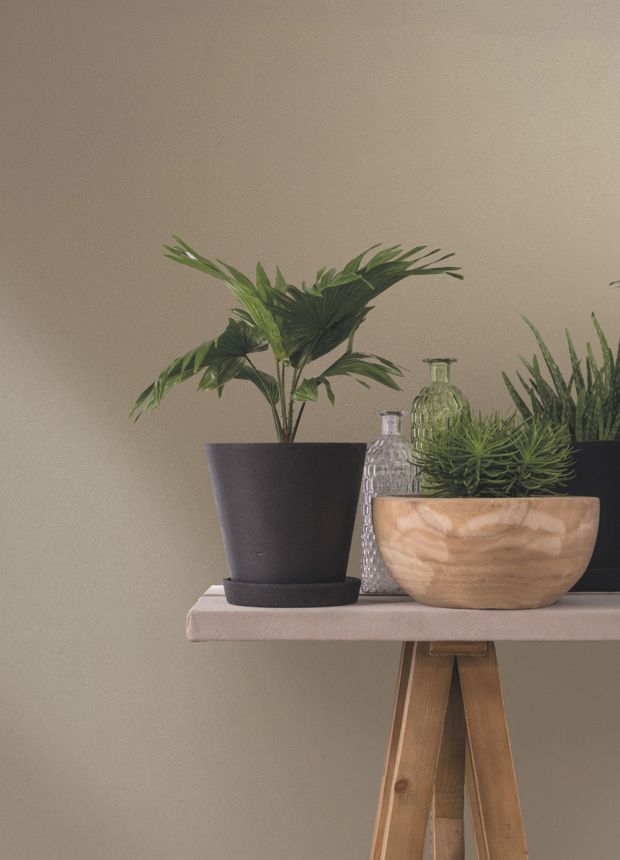 Vliesová tapeta na zeď, béžová, 82532, Naomi, Novamur