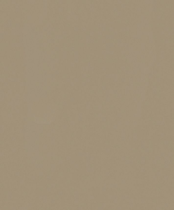 Vliesová tapeta na zeď, hnědá, 82533, Naomi, Novamur