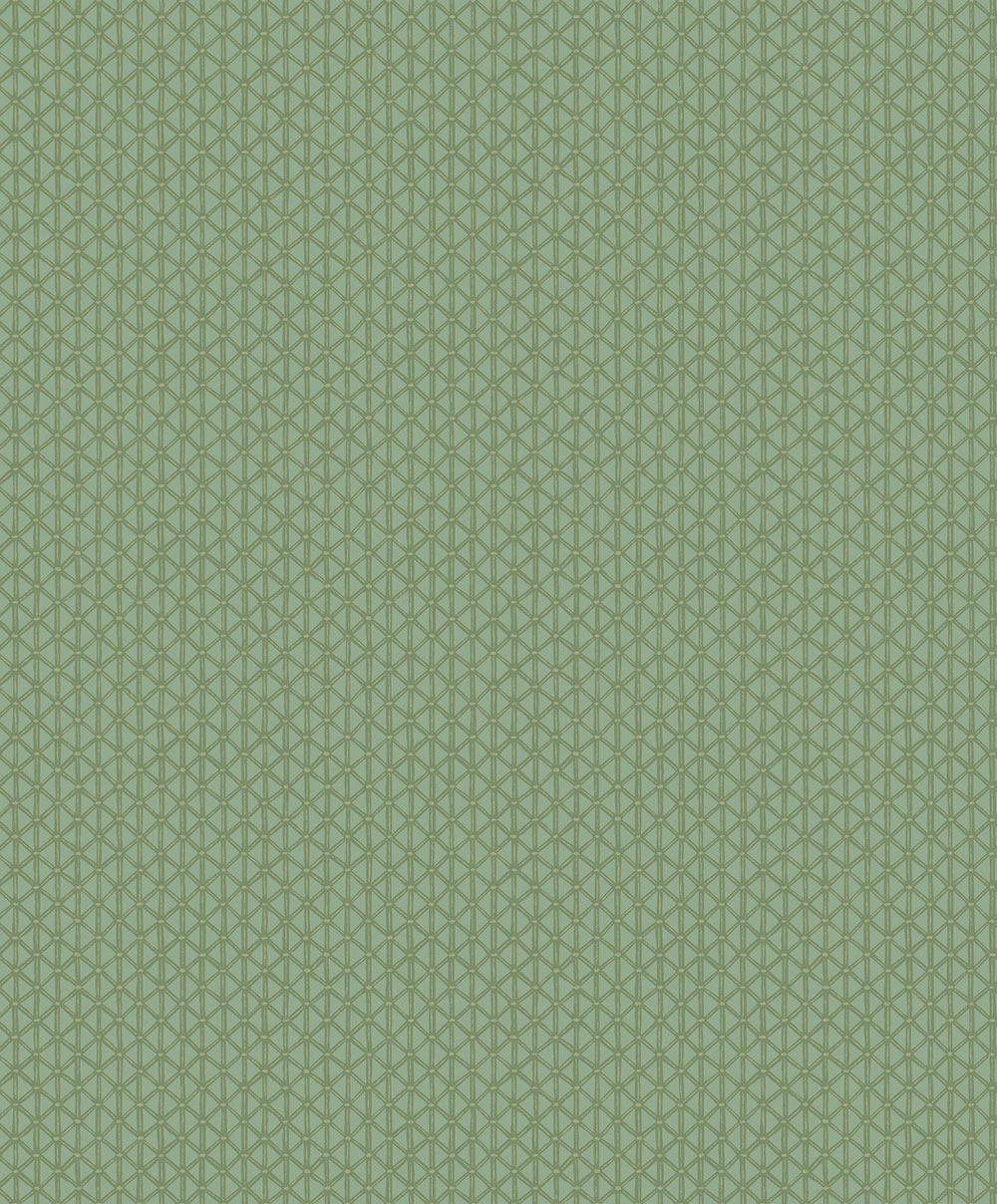 Geometrická vliesová tapeta na zeď, zelená, 351223, Magnifique, Eijffinger