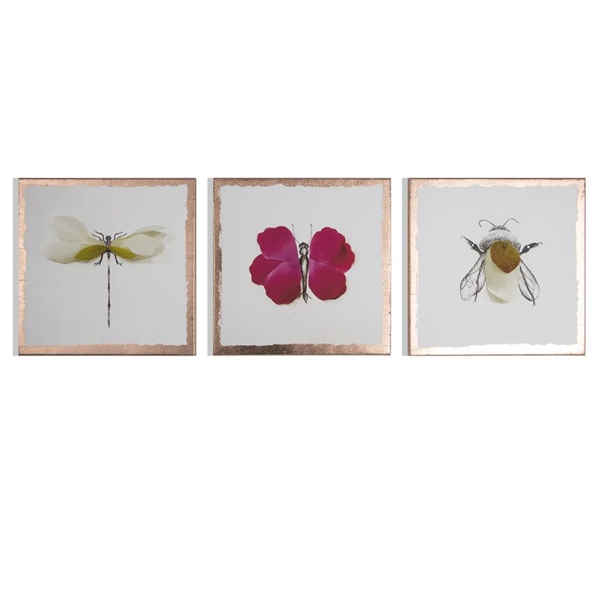 Set obrazů Beautiful Bugs 104580, Wall Art, Graham Brown