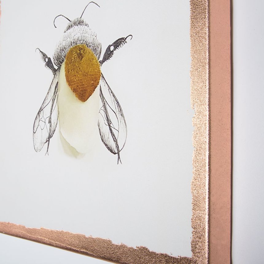 Set obrazů Beautiful Bugs 104580, Wall Art, Graham Brown