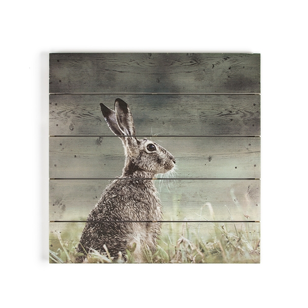 Dřevotisk Zajíc 102506, Hare Print On Wood, Wall Art