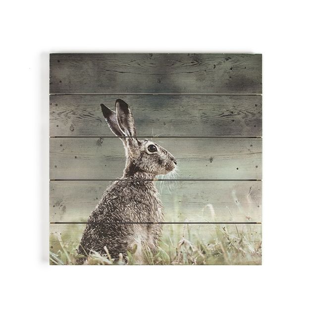 Dřevotisk Zajíc 102506, Hare Print On Wood, Wall Art