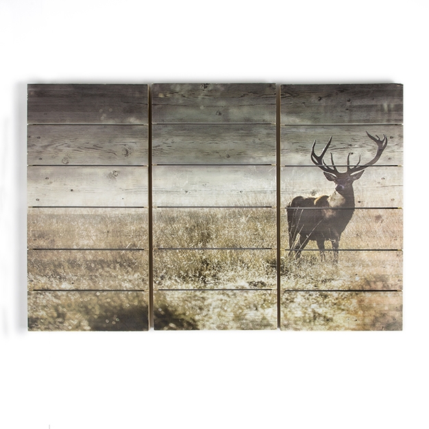 3-dílný dřevotisk 102501, Highland Stag, Wall Art, Graham Brown