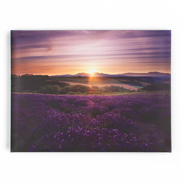 Obraz Levandule 40-886, Lavender Sunset, Wall Art, Graham Brown