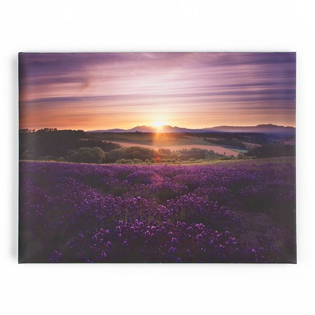 Obraz Levandule 40-886, Lavender Sunset, Wall Art, Graham Brown
