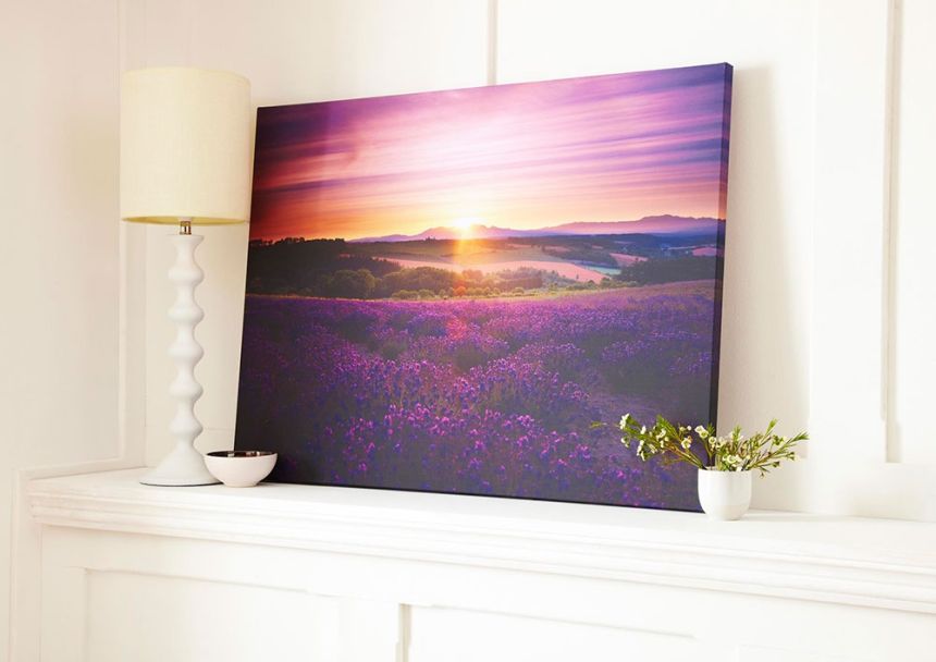 Obraz Levandule 40-886, Lavender Sunset, Wall Art, Graham Brown