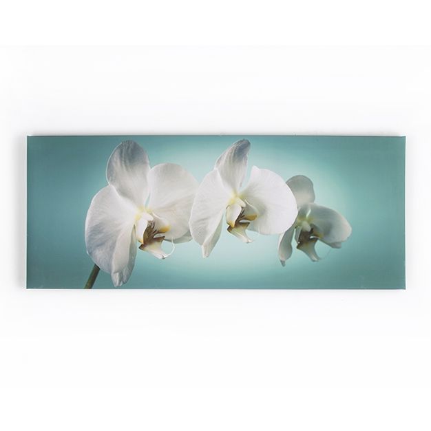 Obraz Orchideje 40-615, Teal orchid, Wall Art, Graham Brown