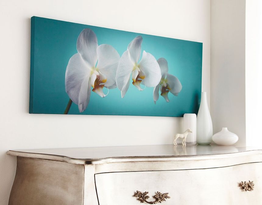 Obraz Orchideje 40-615, Teal orchid, Wall Art, Graham Brown