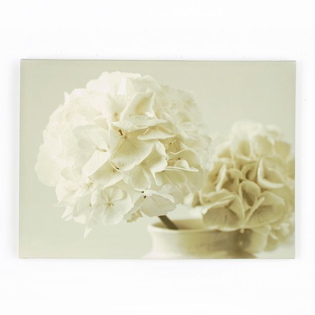 Obraz Bílé květy 40-618, Tranquality, Wall Art, Graham Brown