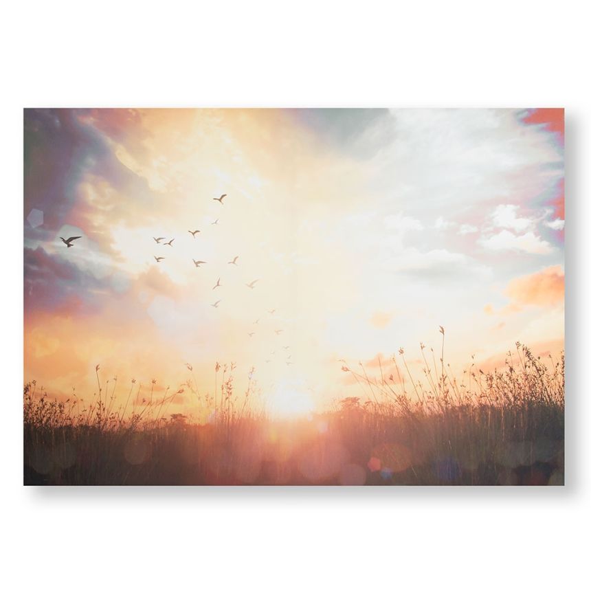 Tištěný obraz Západ slunce 105890, Serene Sunset Meadow, Wall Art, Graham & Brown