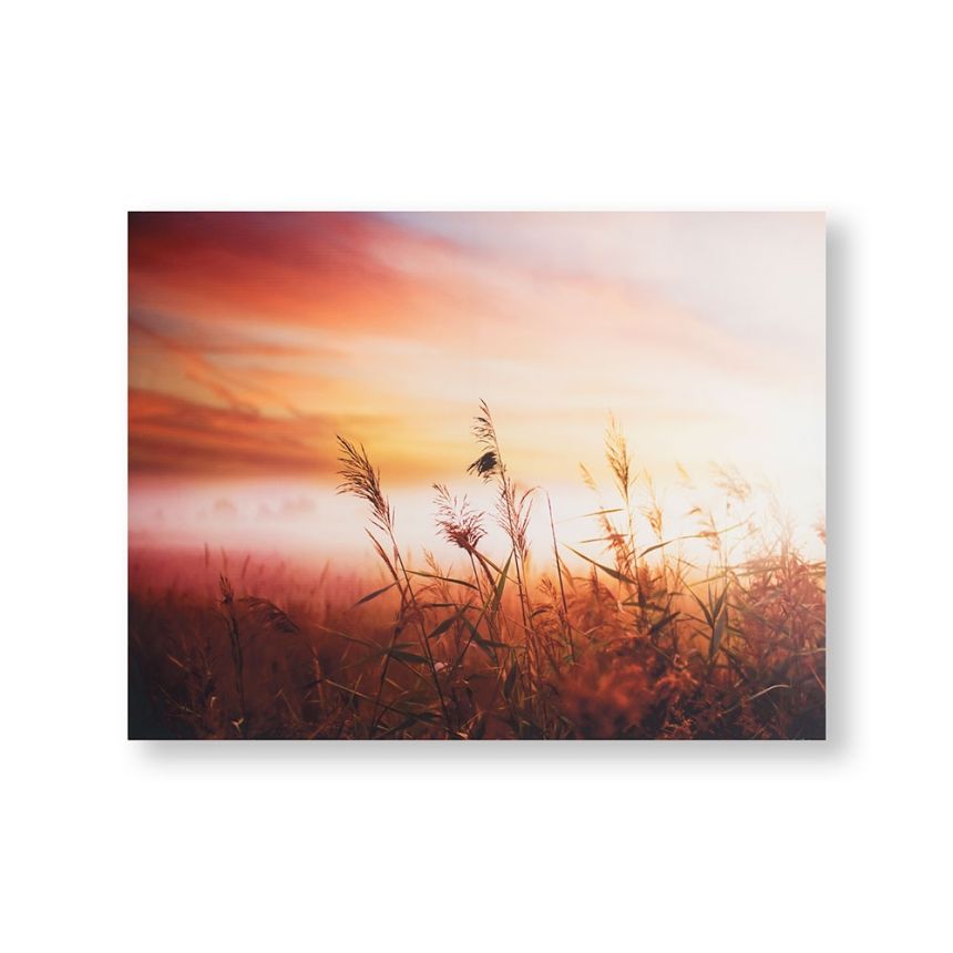 Tištěný obraz Ranní slunce 105888, Morning Sunrise Meadow, Wall Art, Graham & Brown