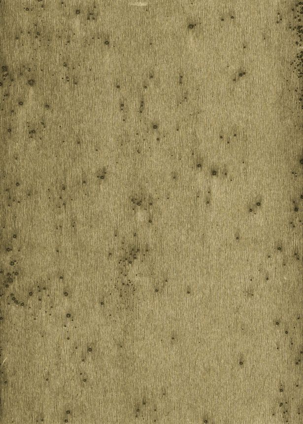 Tapeta 37510, Arte