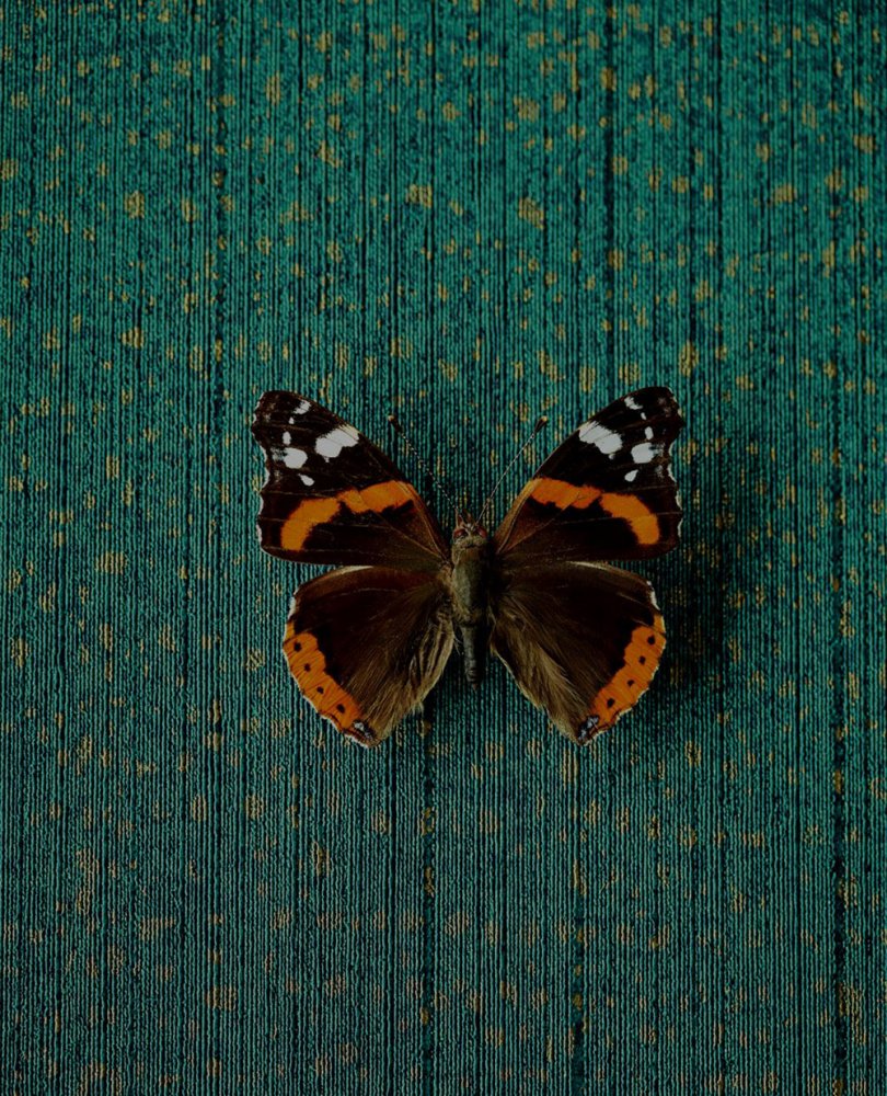 Luxusní vliesová tapeta na zeď 307351, Museum, Eijffinger