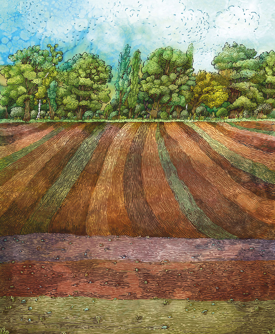 Fototapety na míru, Příroda, pole, 6010, Imaginum, Vavex