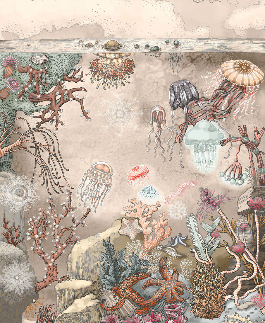 Fototapety na míru, Pod hladinou, 6012, Imaginum, Vavex