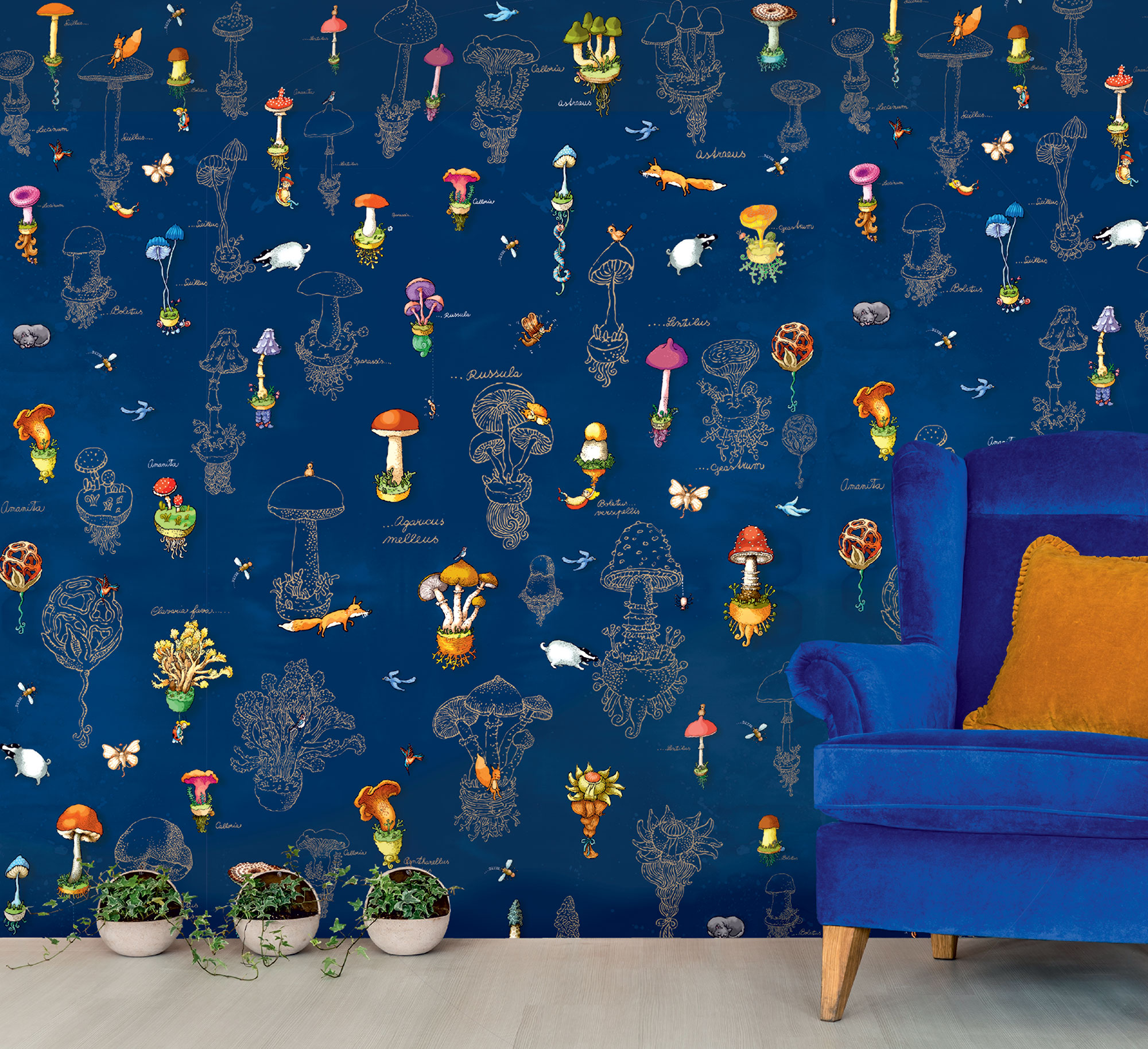 Fototapety na míru, Příroda, houby, zvířátka, 6013, Imaginum, Vavex