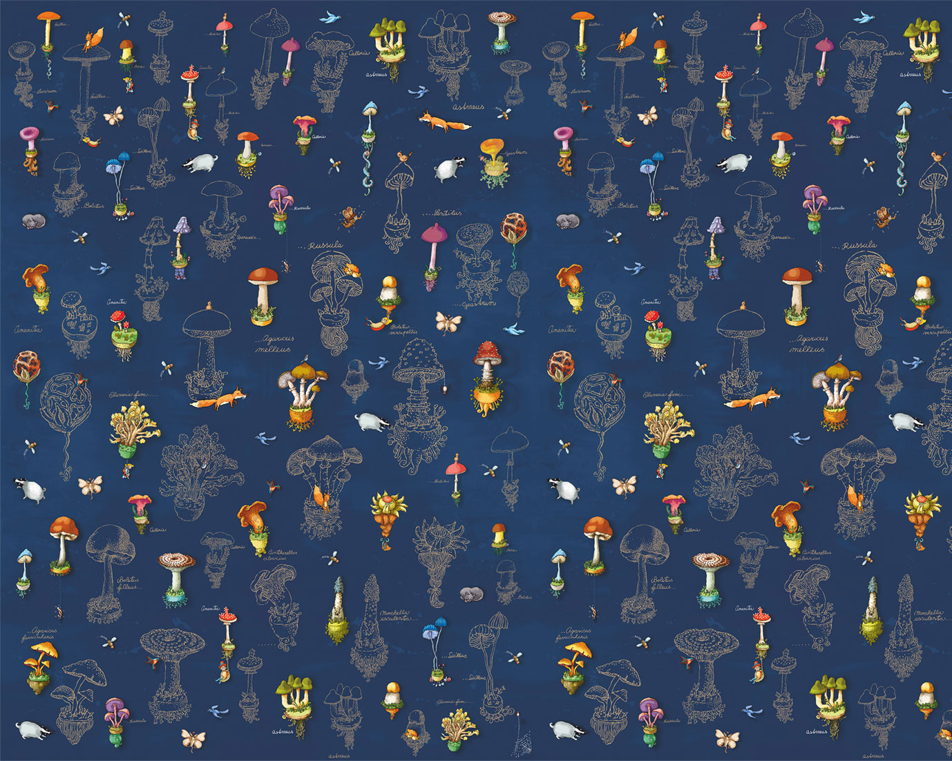 Fototapety na míru, Příroda, houby, zvířátka, 6013, Imaginum, Vavex