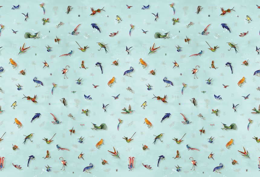 Fototapety na míru, Ptáci, 6024, Imaginum, Vavex