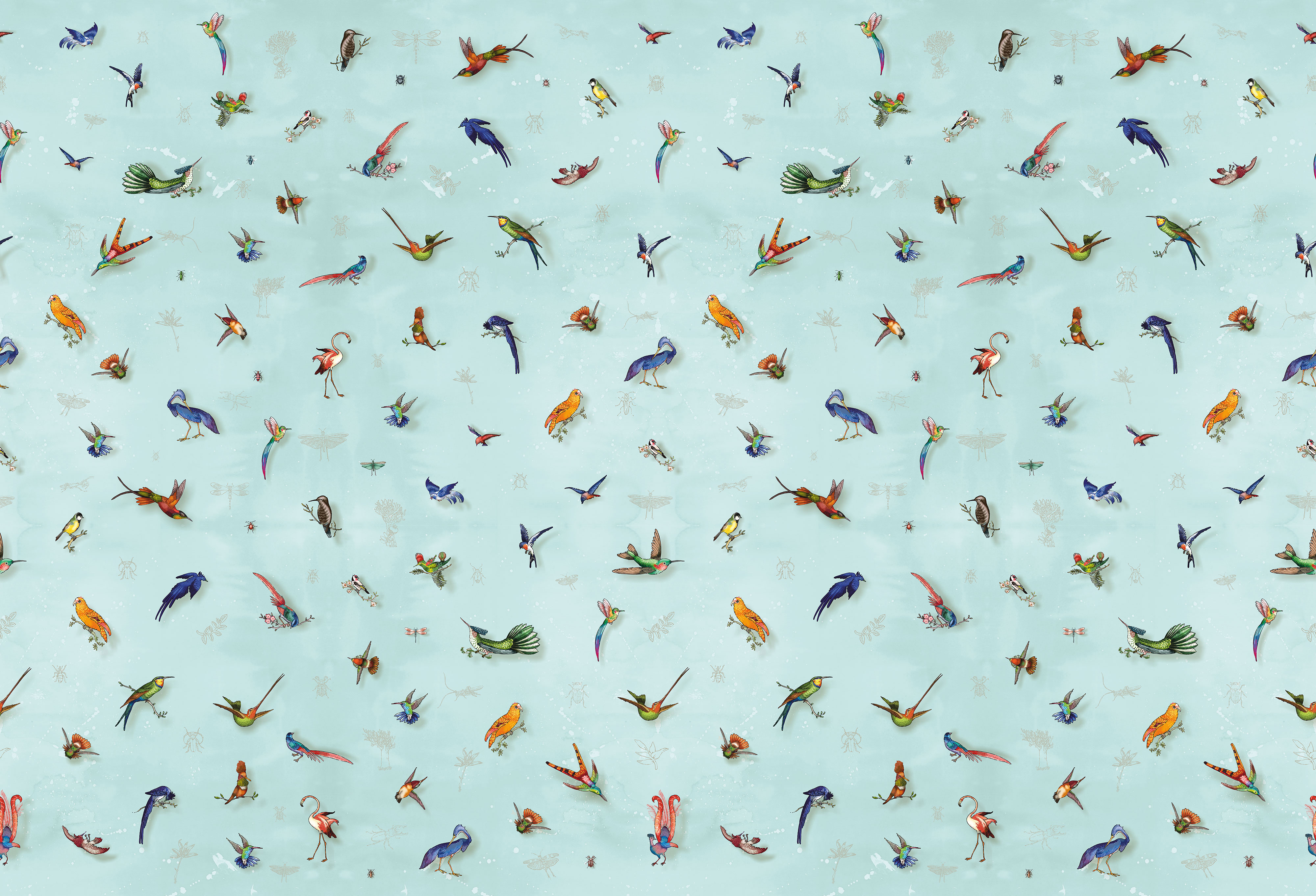 Fototapety na míru, Ptáci, 6024, Imaginum, Vavex