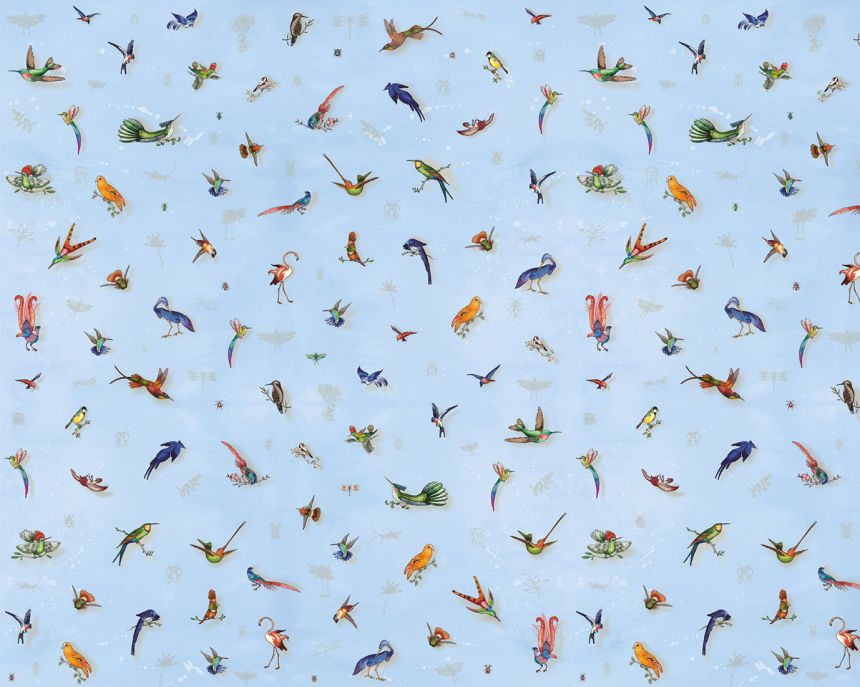 Fototapety na míru, Ptáci, 6026, Imaginum, Vavex