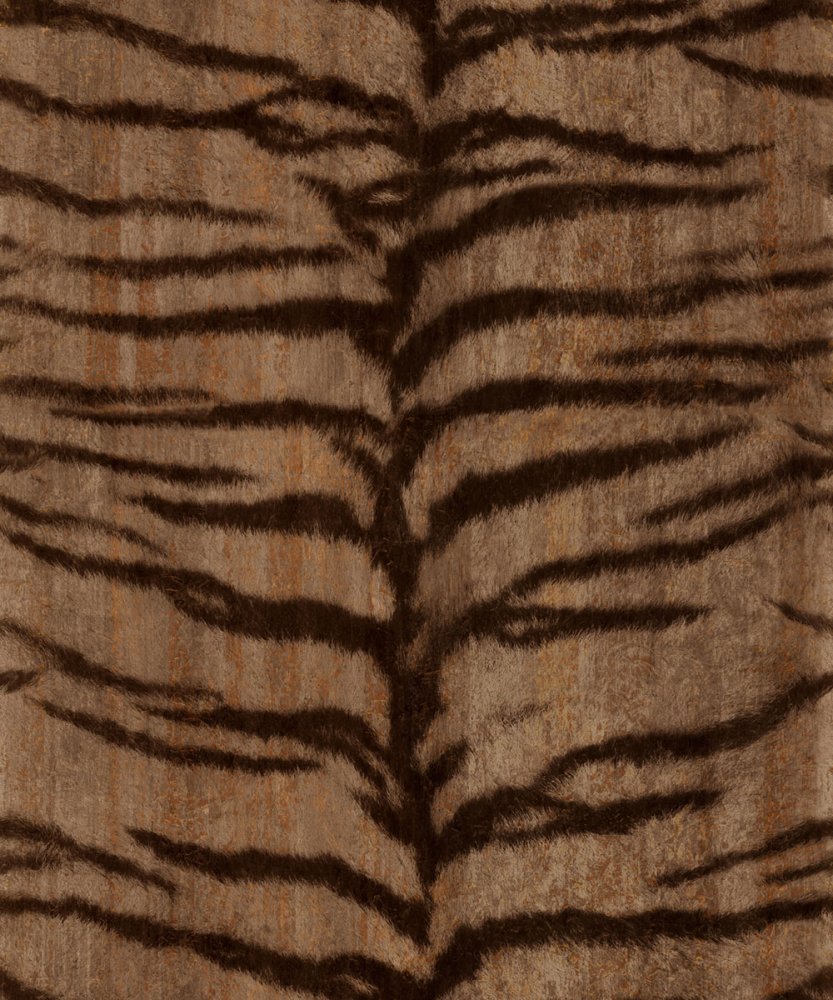 Vliesová obrazová tapeta, Kůže tygra, 300416, 250x280cm, Grand Safari, BN Walls