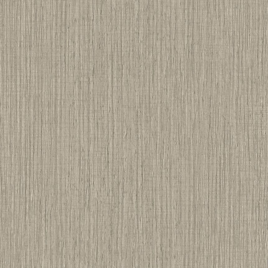 Vliesová tapeta na zeď, hnědá, šedá, imitace dřeva, TN29041, Terra Nova, Decoprint