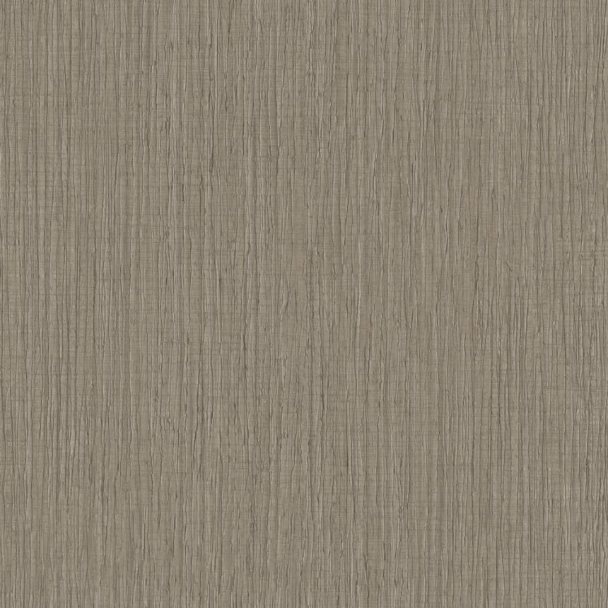 Vliesová tapeta na zeď, hnědá, imitace dřeva, TN29042, Terra Nova, Decoprint