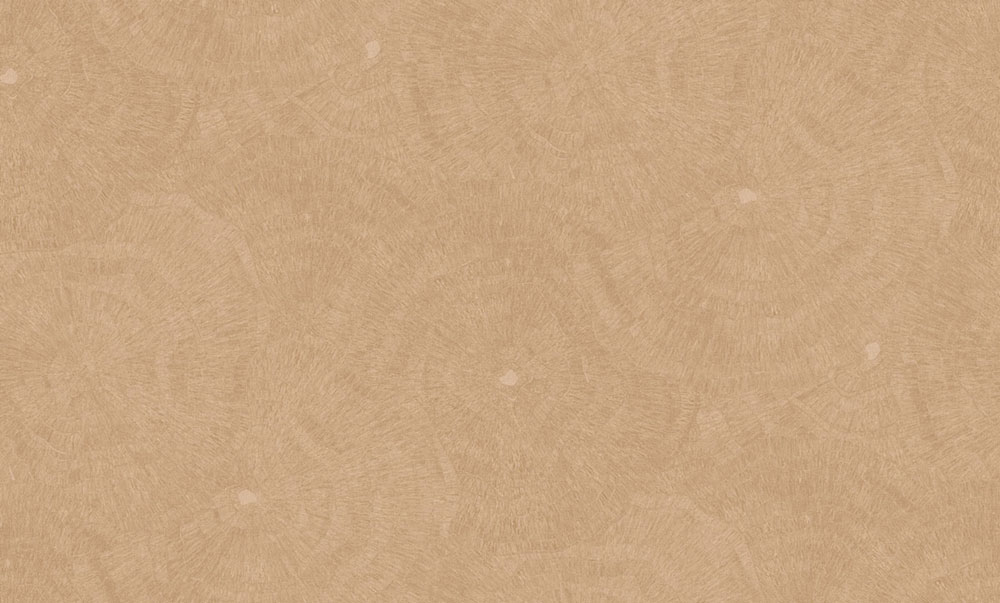 Vliesová tapeta na zeď, hnědá, obrazce, 6624, Metamorphosis, Parato by Cristiana Masi