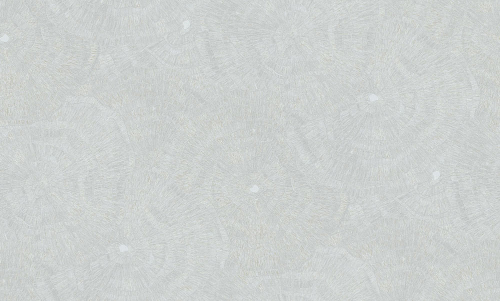 Vliesová tapeta na zeď, stříbrná, šedá, obrazce, 6626 Metamorphosis Parato by Cristiana Masi