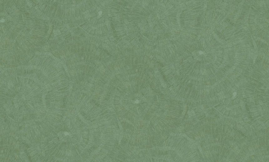 Vliesová tapeta na zeď, zelená, obrazce, 6635, Metamorphosis, Parato by Cristiana Masi