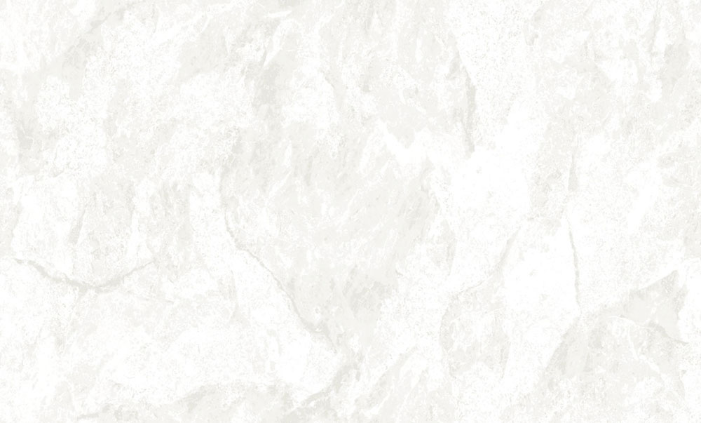 Vliesová tapeta na zeď, stříbrná, bílá, imitace štukové omítky, 6646, Metamorphosis, Parato by Cristiana Masi