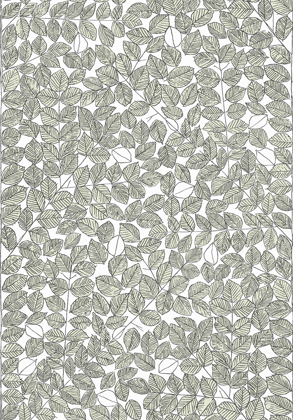 Vliesová tapeta na zeď, zelená, černá, listy, 1769, Scandinavian Designers, Borastapeter