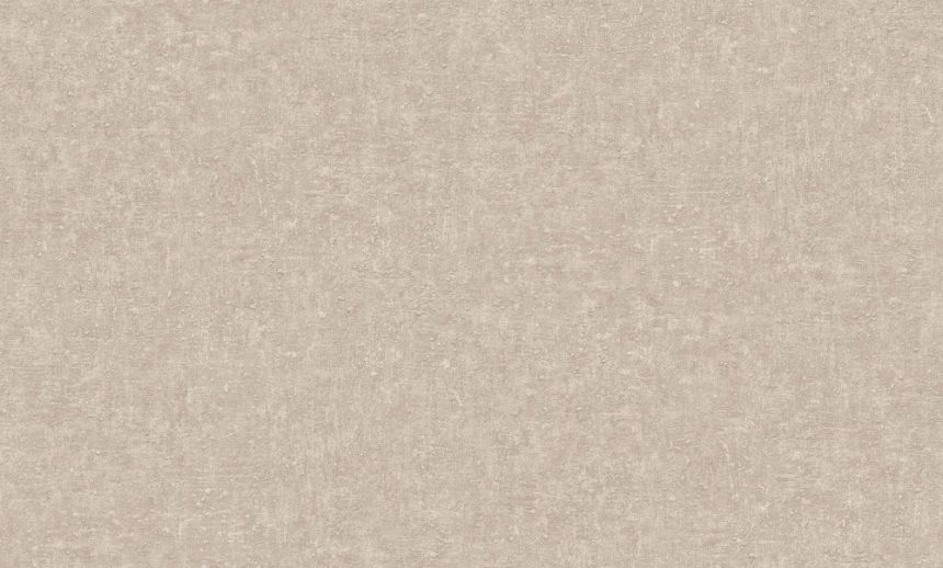 Vliesová tapeta na zeď, hnědo-šedá, imitace omítky, CO1203, Concept, Grandeco