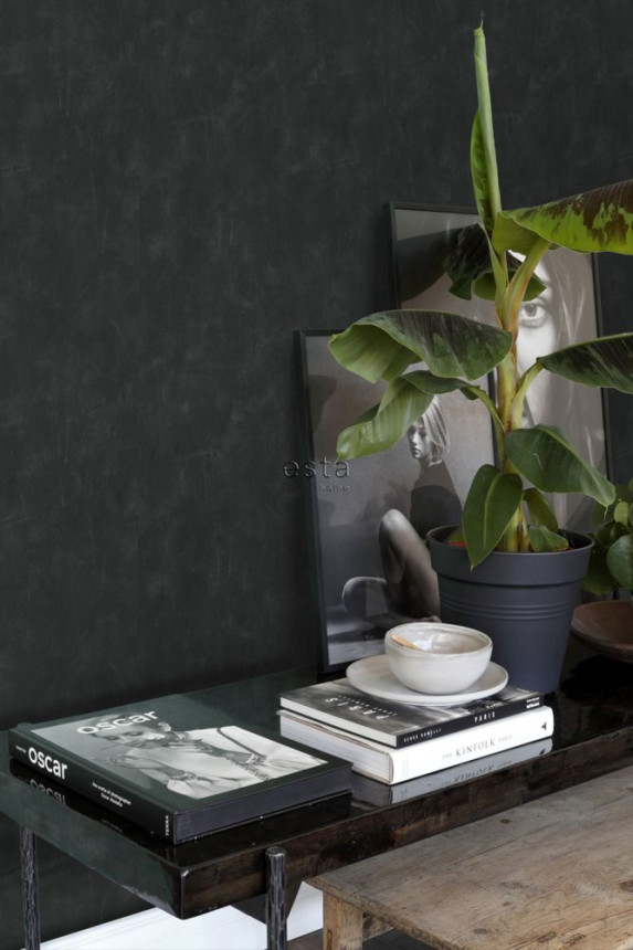 Černá, jemně žíhaná vliesová tapeta na zeď 136408, Black & White, Esta