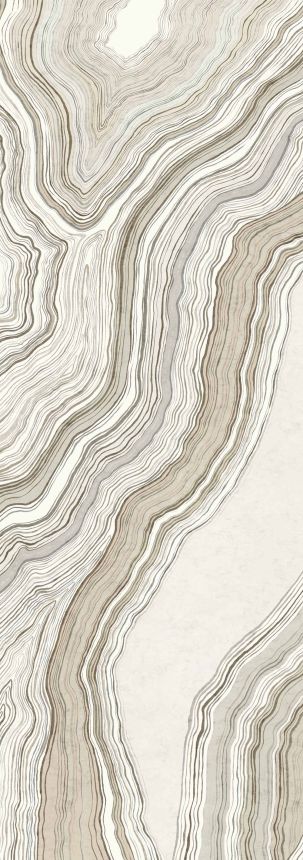 Abstraktní vliesová obrazová tapeta na zeď, šedá, hnědá, Pruhy, DGERO1021-260, Erosion, Masureel