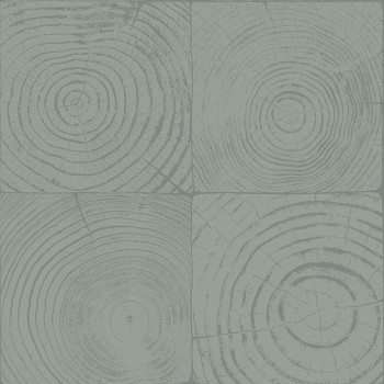 Vliesová tapeta na zeď zelená, imitace dřeva s letokruhy 347547, Matières - Wood, Origin