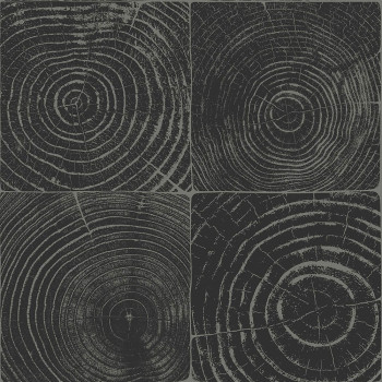 Černo-stříbrná vliesová tapeta, imitace dřeva s letokruhy 347544, Matières - Wood, Origin