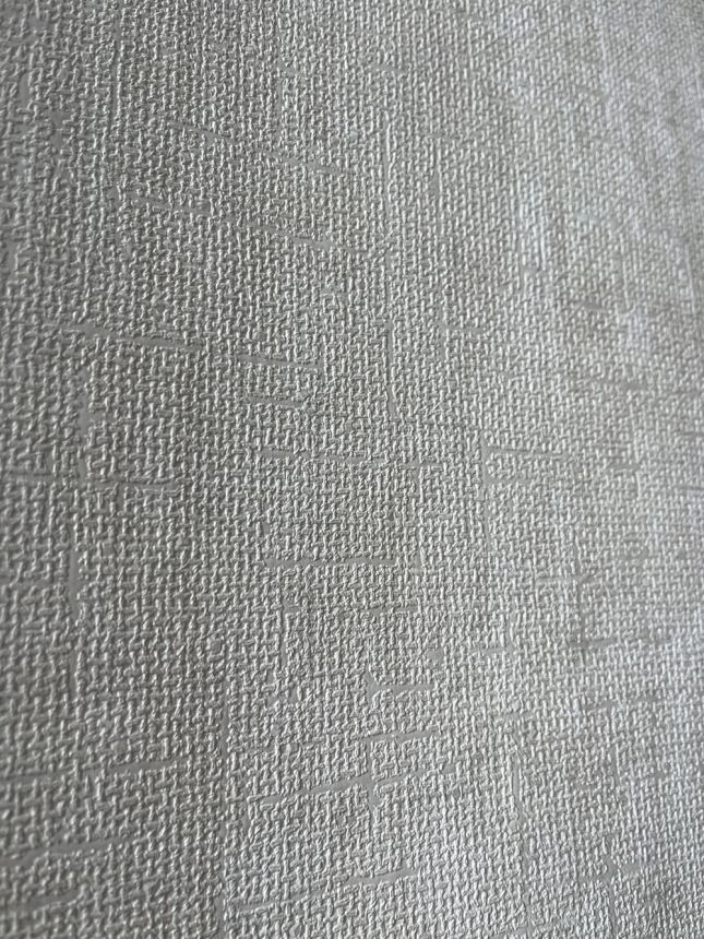 Vliesová tapeta na zeď, stříbrno-šedá, imitace hrubé látky, RE521021, Renaissance, Design Id