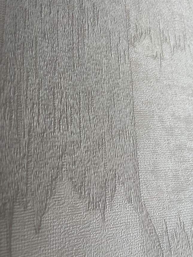 Abstraktní vliesová tapeta na zeď, šedo-stříbrná, bílá, pruhy, RE521031, Renaissance, Design Id