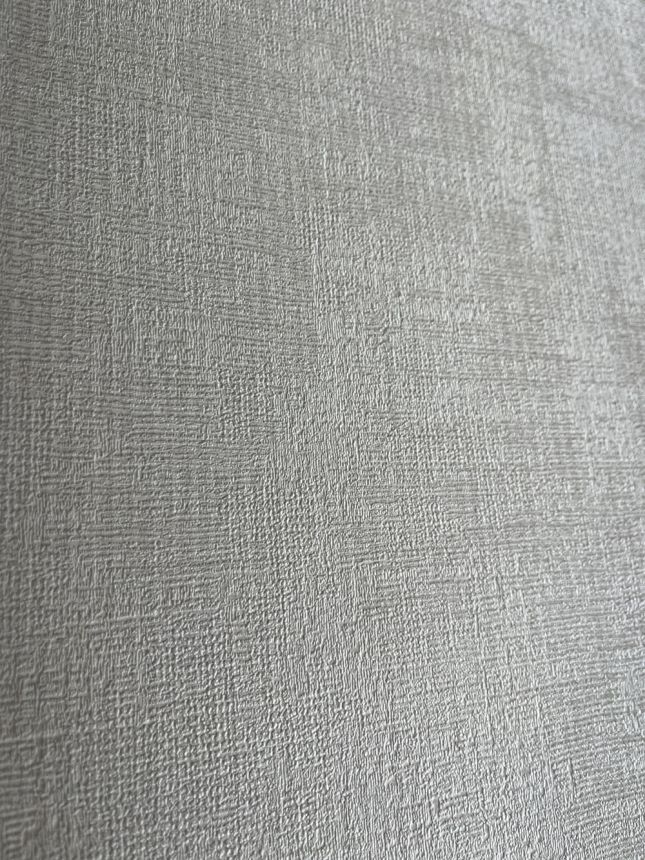 Vliesová tapeta na zeď, bílá, šedo-stříbrná, imitace žíhané látky, RE521041, Renaissance, Design Id