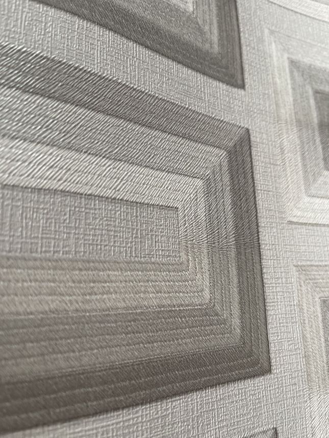 Světle šedá 3D vliesová tapeta na zeď, RE521073, Renaissance, Design Id